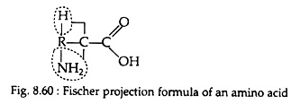 Fischer Projection Formula of an Amino Acid