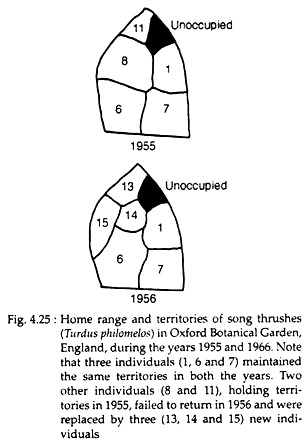 Home Range and Territories of Song Thrushes