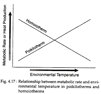 Relationshiph between Metabolic Rate and Environmental Temperature