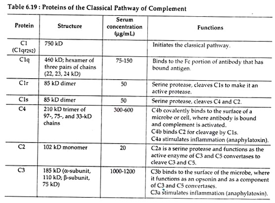 Proteins of the Classical Pathways of Complement