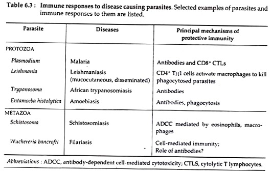 Immune Response to Disease Causing Parasites