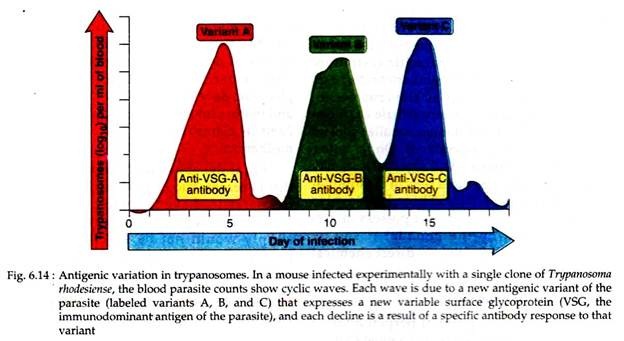 Antigenic Variation in Trypanosomes