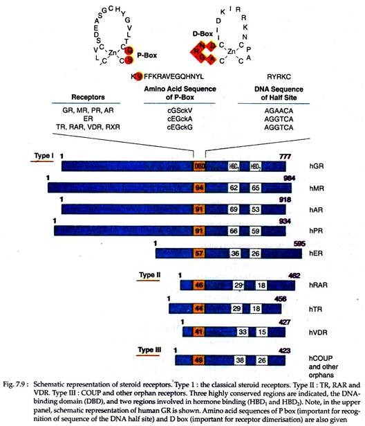 Steroid Receptors