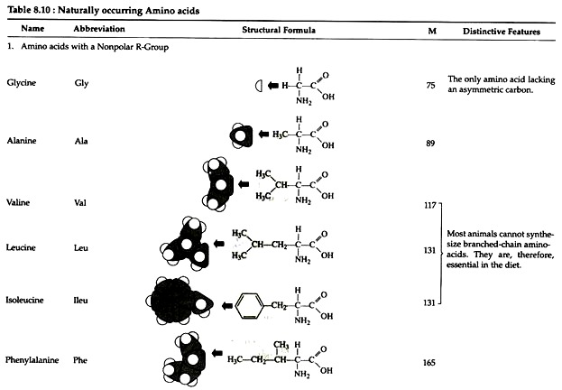 Naturally Occuring Amino Acids