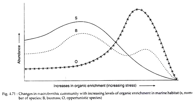 Changes in Macrobenthic Community