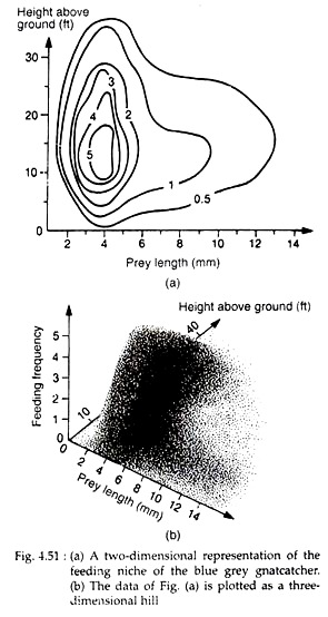 Feeding Niche of the Blue Grey Gnatcatcher and Three Dimensional Hill