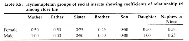 Hymenopteran Groups of Social Insects