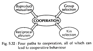 Four Paths to Cooperation