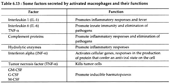 Factors Secreted by Activated Macrophages