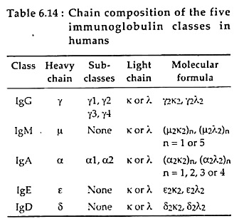Chain Composition