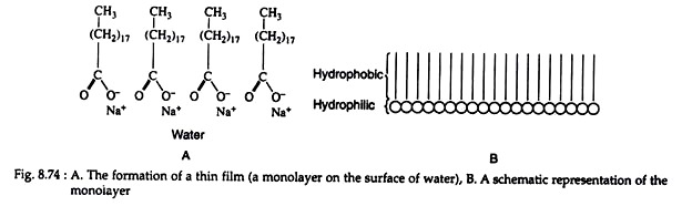 Formation of Thin Film and Monoiayer