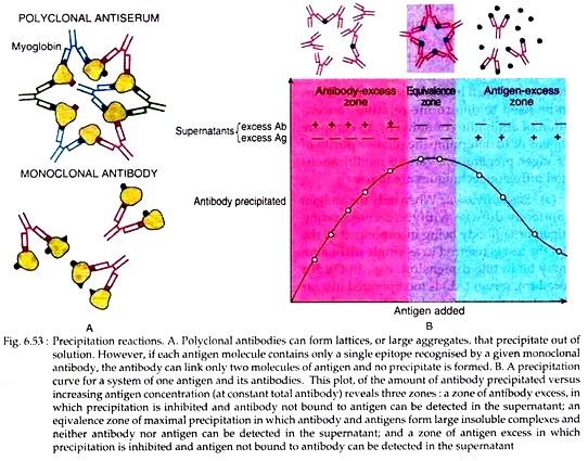 Precipitation Reactions