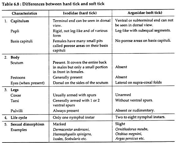 Differences between Hard Tick and Soft Tick