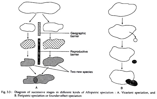Successive Stages in Different Kinds of Allopatric Speciation