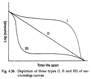 Depiction of Three Types of Survivorship Curves