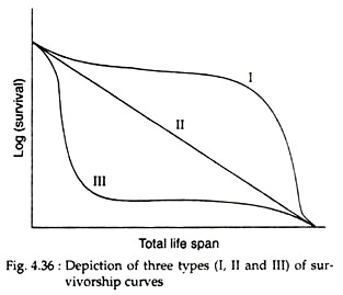 Depiction of Three Types of Survivorship Curves