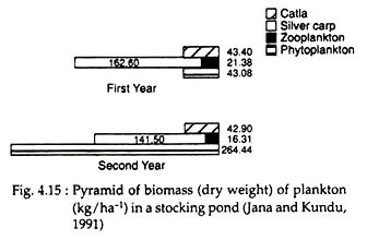 Pyramid of Biomass