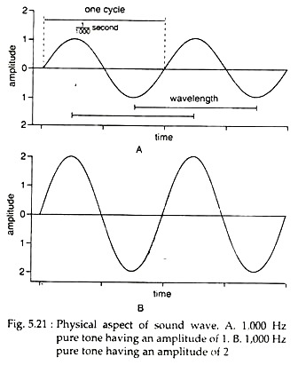 Physical Aspect of Sound Wave