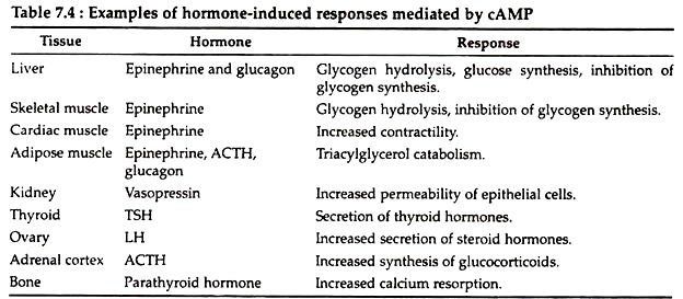 Examples of Hormone-Induced Responses