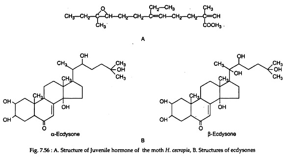 Structure of Juvenile Hormone