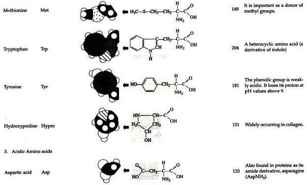 Naturally Occuring Amino Acids