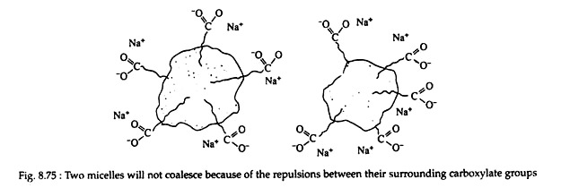 Two Micelles