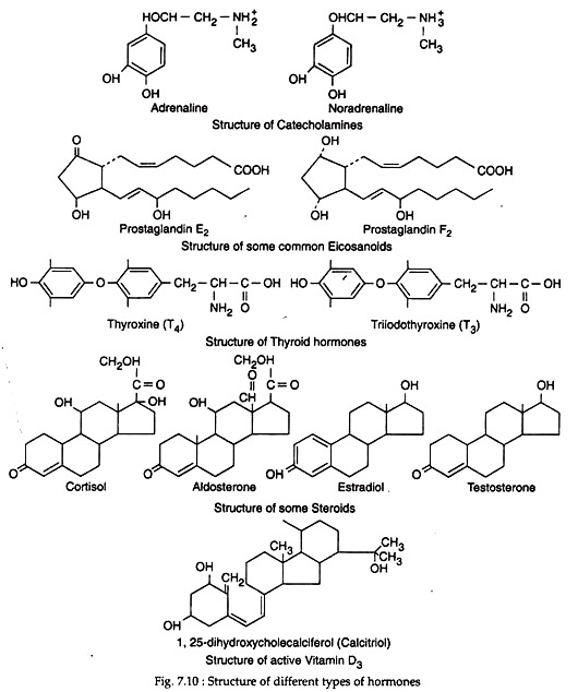 Structure of different types of hormones