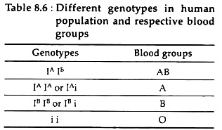 Different Genotypes in Human Population