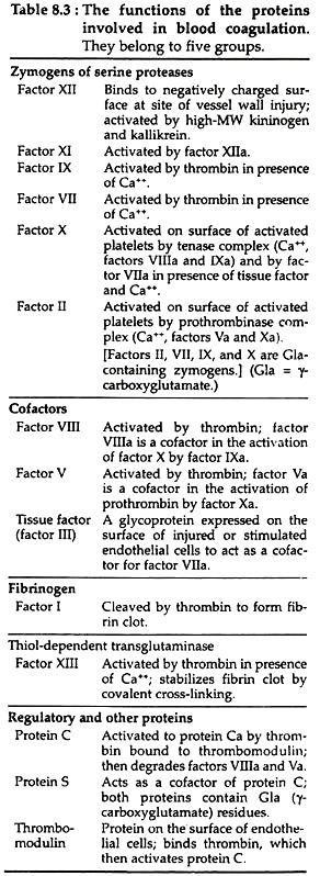 Functions of the Proteins