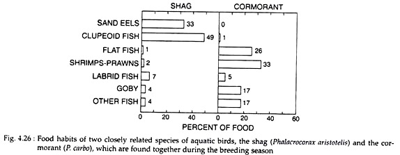 Food Habits of Two Closely Related Species