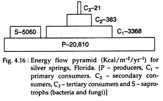 Energy Flow Pyramid