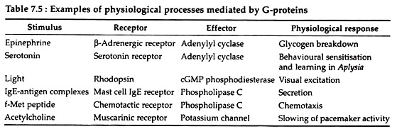 Examples of Physiological Processes