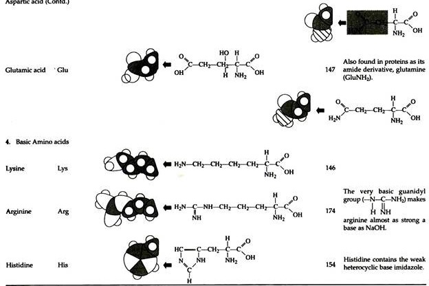 Naturally Occuring Amino Acids