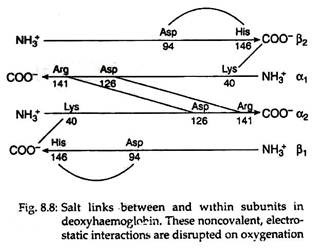 Salt Links