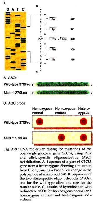 DNA Molecular Testing