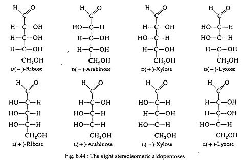 Eight Stereoisomeric Aldopentoses