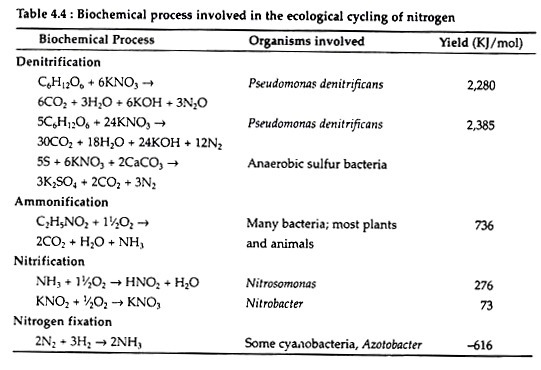 Biochemical Process Involved in the Ecological Cycling of Nitrogen 