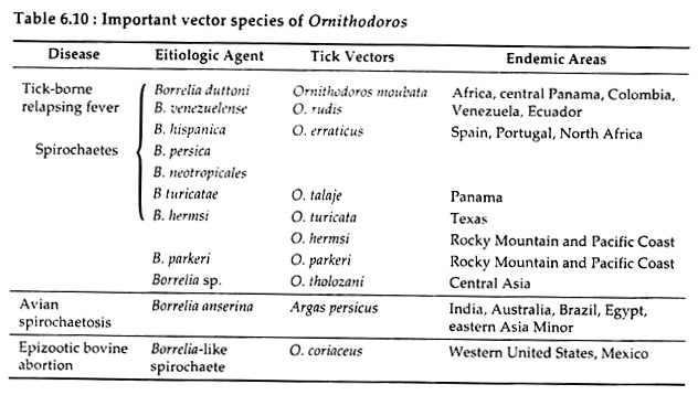 Important Vector Species of Ornithodoros