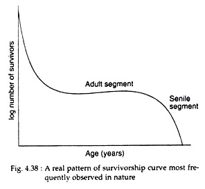 Real Pattern of Survivorship Curve
