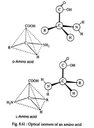 Optical Isomers of an Amino Acid