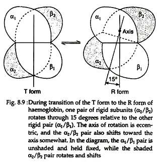 During Transition of the T Form to the R Form of Haemoglobin