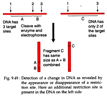 Detection of Change in DNA