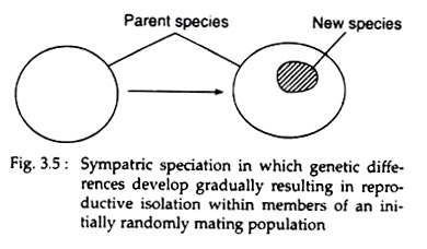 Sympatric Speciation