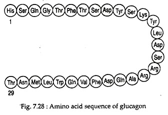 Amino Acid Sequence of Glucagon