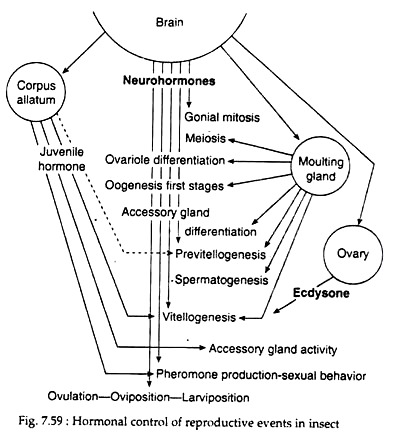 Hormonal Control