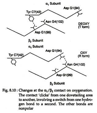 Changes at the α1/β2 Contact of Oxygenation