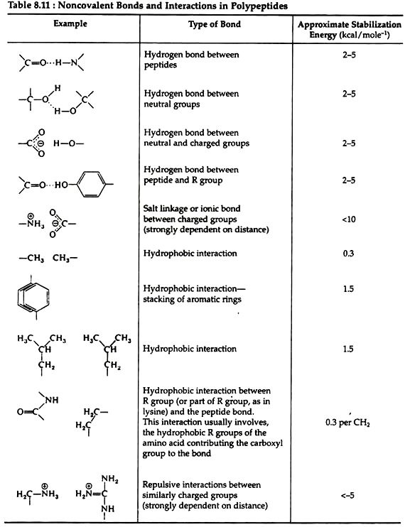 Noncovalent Bonds and Interaction in Polypeptides