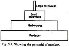 Showing the pyramid of number