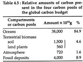 Relative Amounts of Carbon