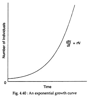 Exponential Growth Curve